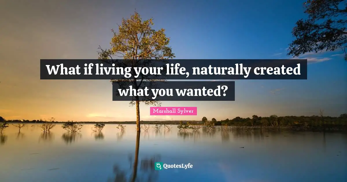 What if living your life, naturally created what you wanted?