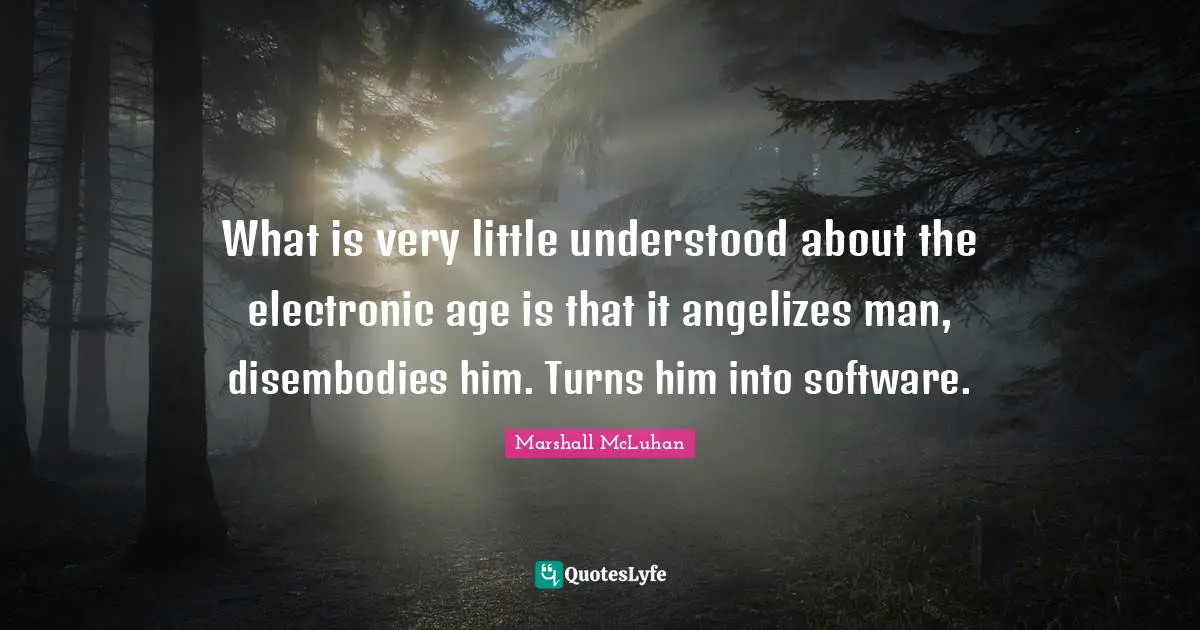 What is very little understood about the electronic age is that it angelizes man, disembodies him. Turns him into software.