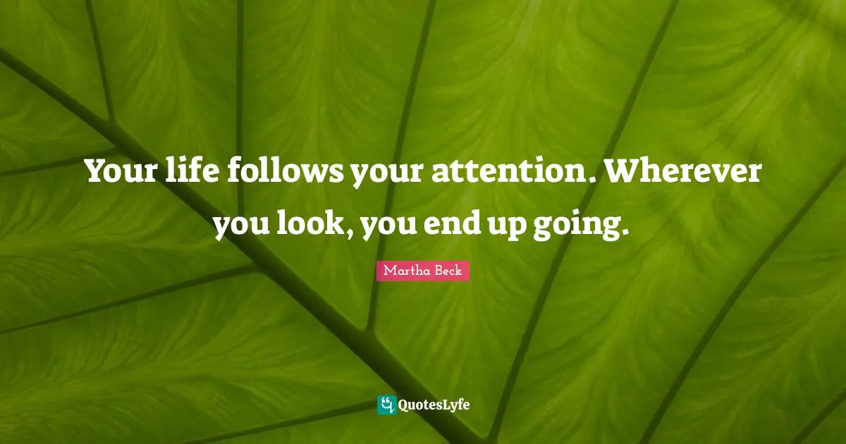 Your life follows your attention. Wherever you look, you end up going.