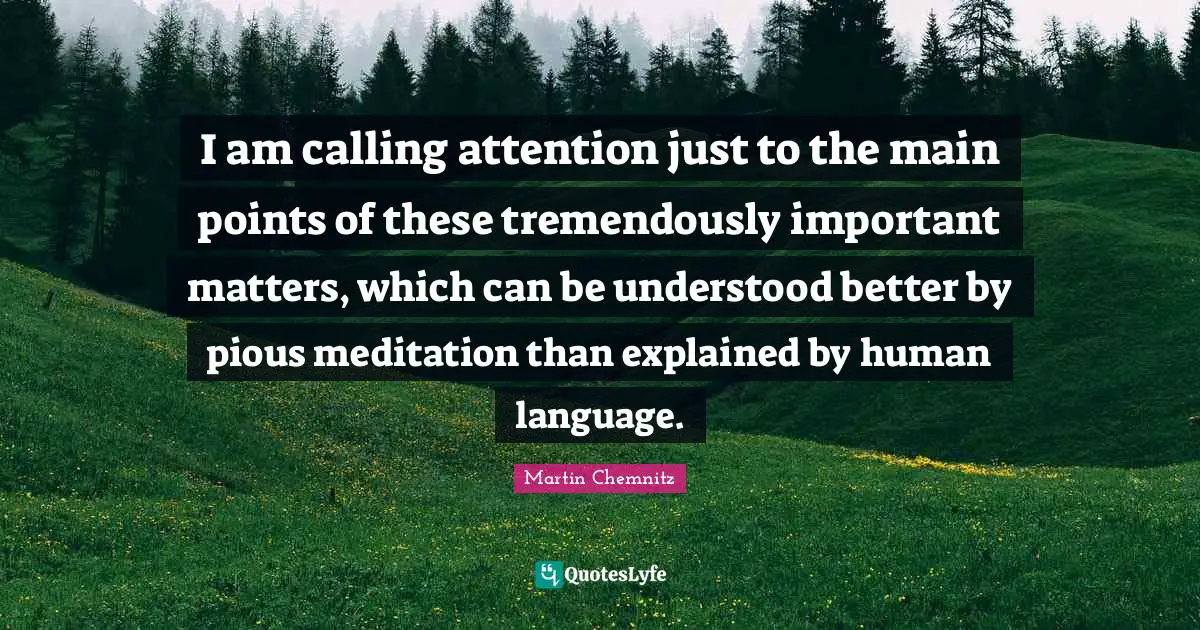 Pious Quotes: "I am calling attention just to the main points of these tremendously important matters, which can be understood better by pious meditation than explained by human language."