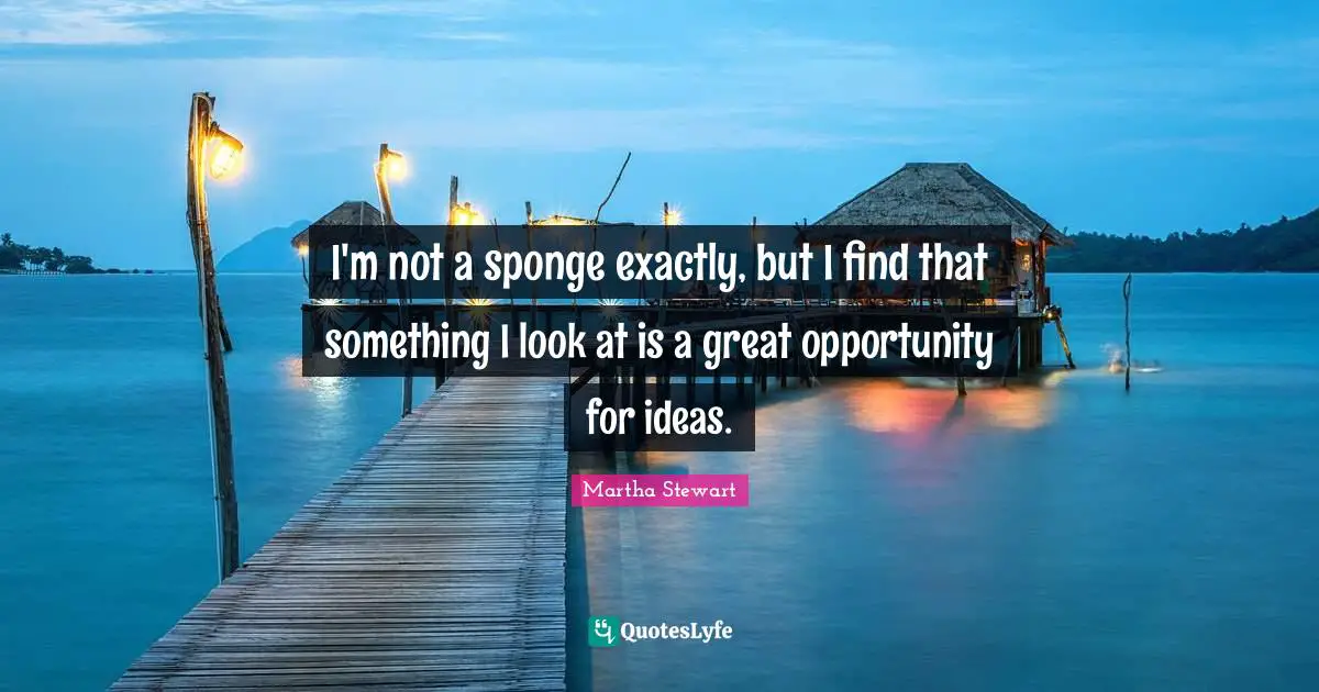 I'm not a sponge exactly, but I find that something I look at is a great opportunity for ideas.