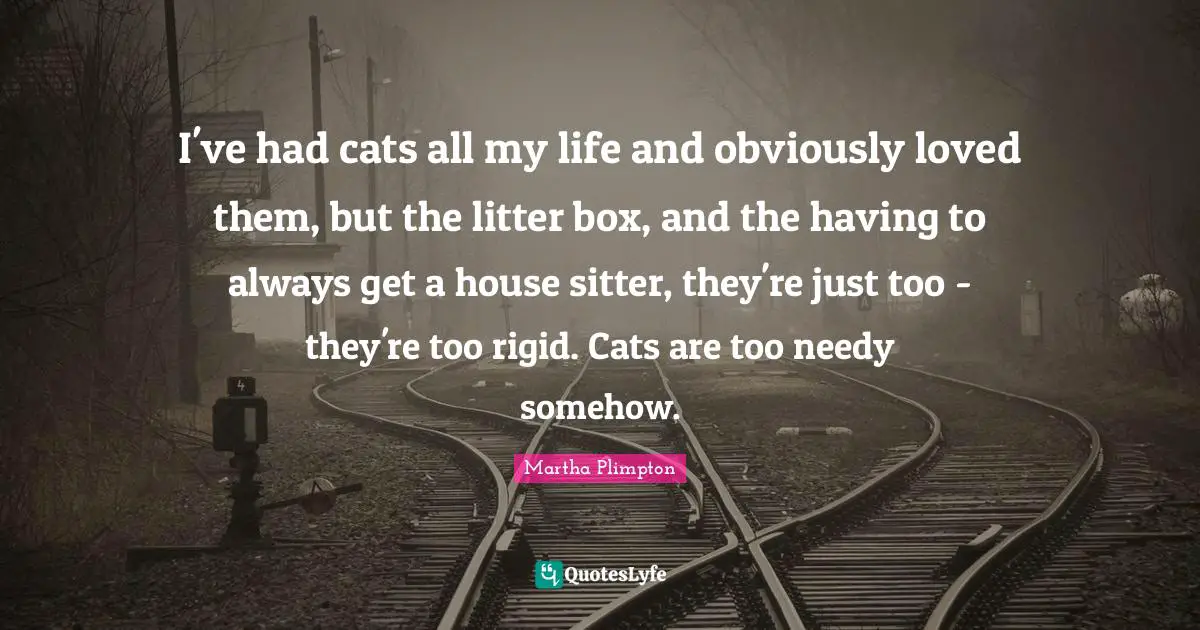I've had cats all my life and obviously loved them, but the litter box, and the having to always get a house sitter, they're just too - they're too rigid. Cats are too needy somehow.