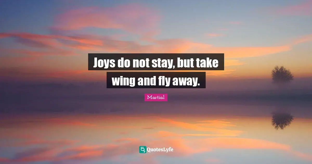 Joys do not stay, but take wing and fly away.