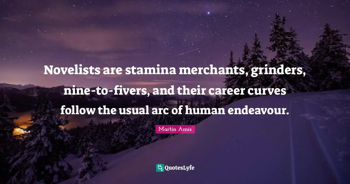 Novelists are stamina merchants, grinders, nine-to-fivers, and their career curves follow the usual arc of human endeavour.