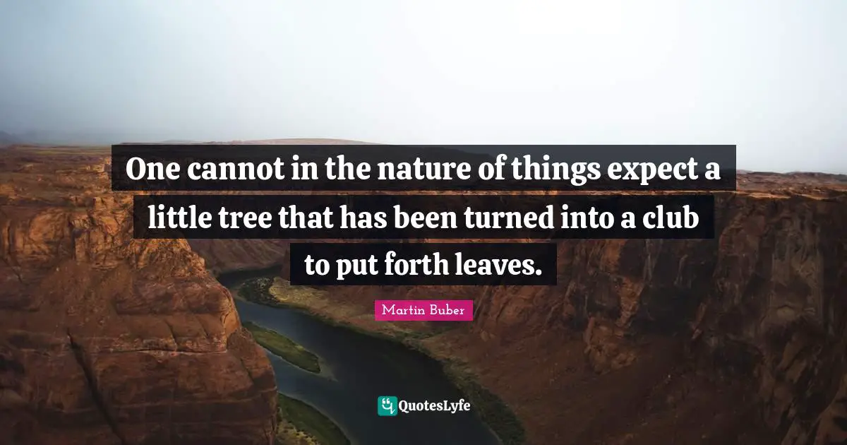 One cannot in the nature of things expect a little tree that has been turned into a club to put forth leaves.