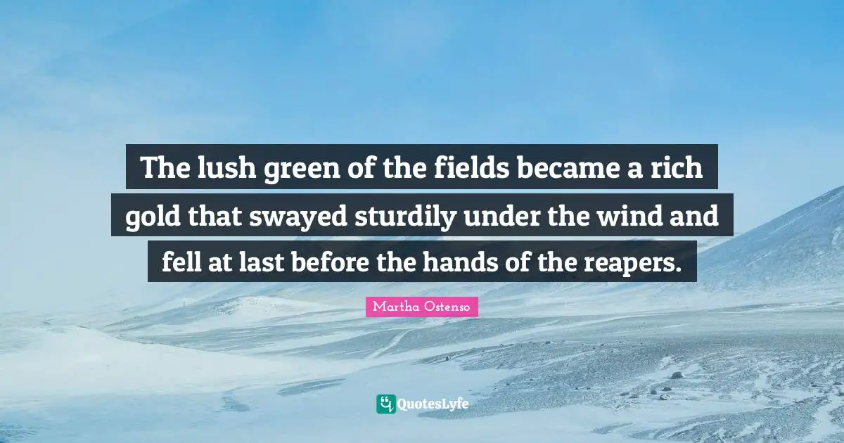 The lush green of the fields became a rich gold that swayed sturdily under the wind and fell at last before the hands of the reapers.