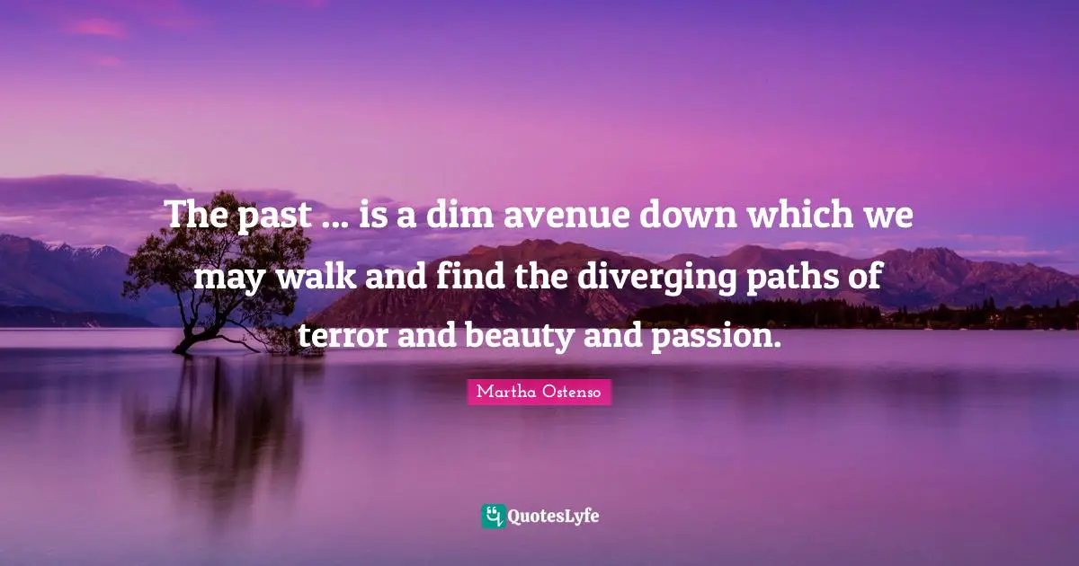 The past ... is a dim avenue down which we may walk and find the diverging paths of terror and beauty and passion.