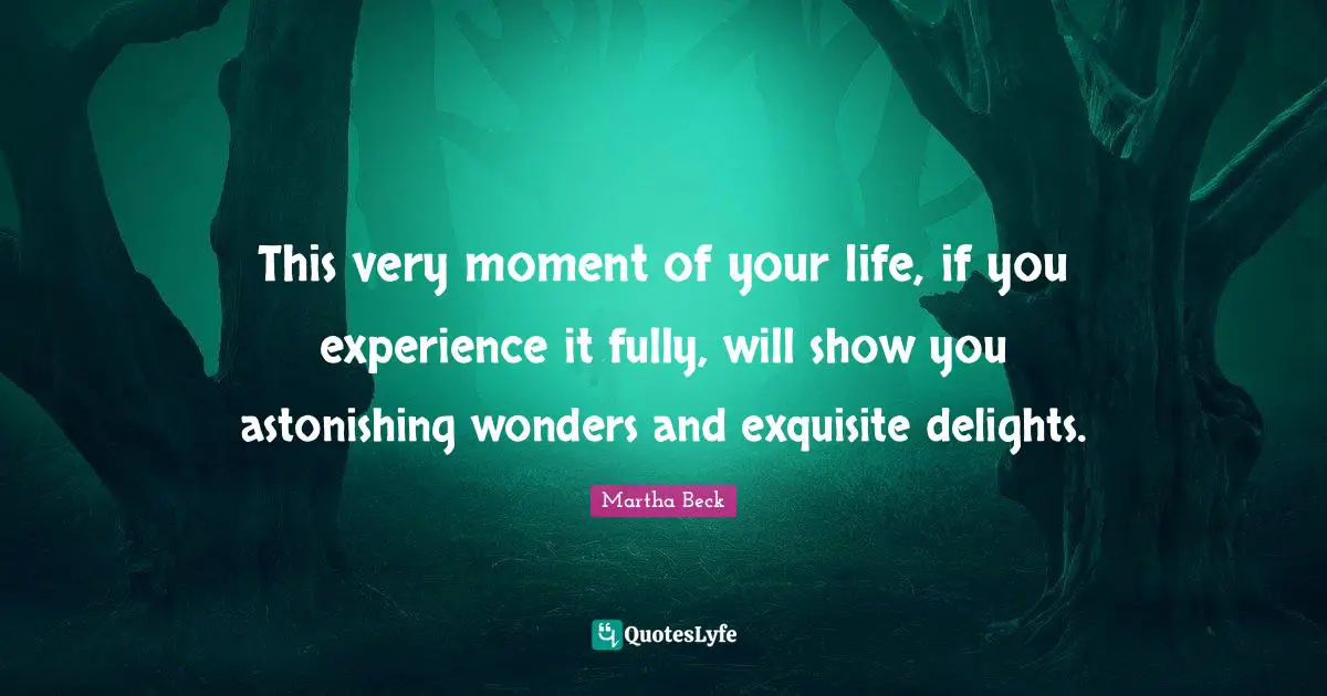 Astonishing Quotes: "This very moment of your life, if you experience it fully, will show you astonishing wonders and exquisite delights."