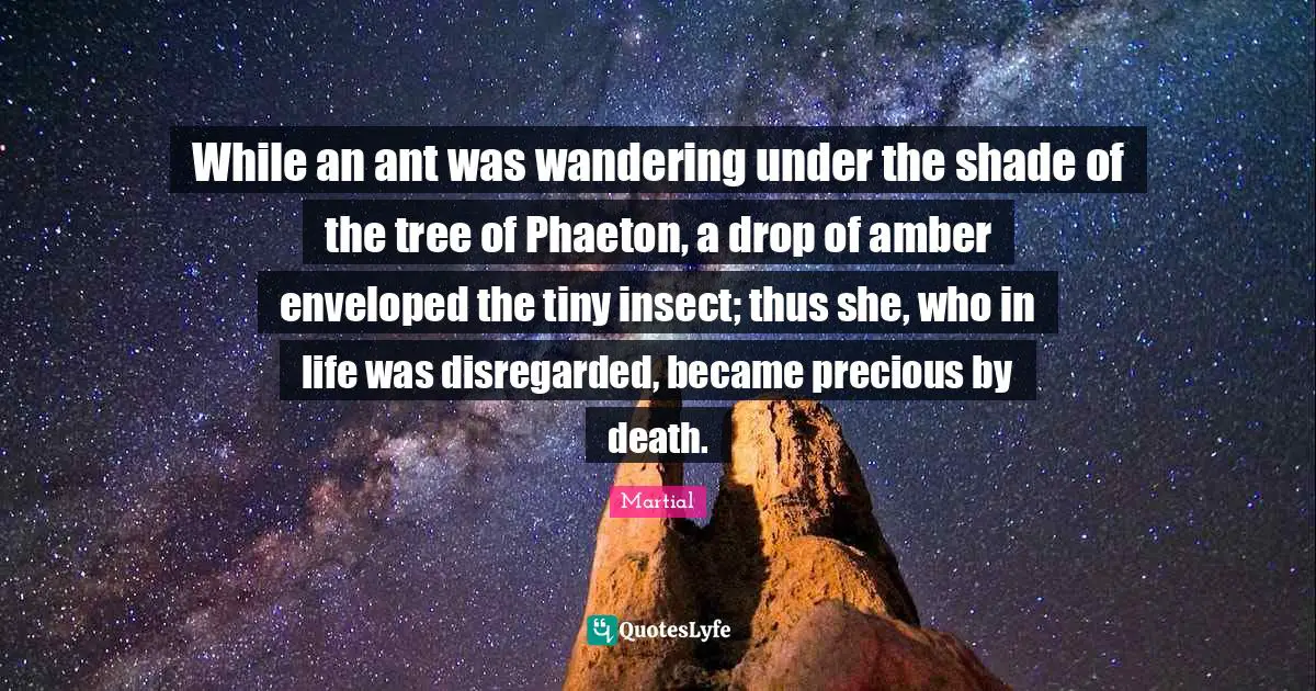 While an ant was wandering under the shade of the tree of Phaeton, a drop of amber enveloped the tiny insect; thus she, who in life was disregarded, became precious by death.