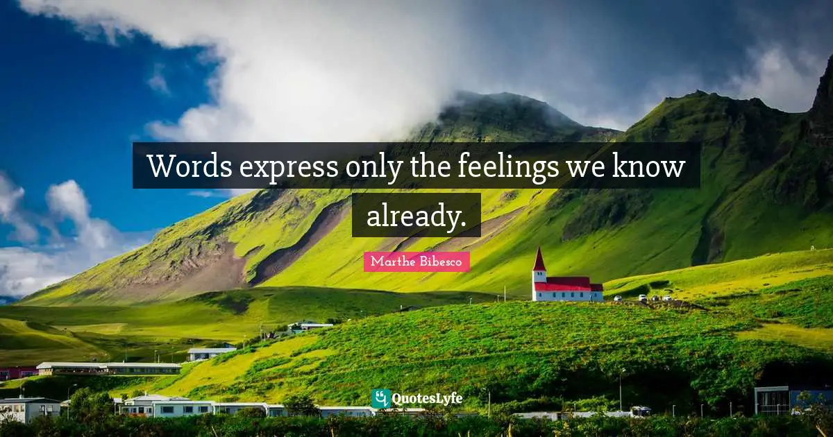 Words express only the feelings we know already.