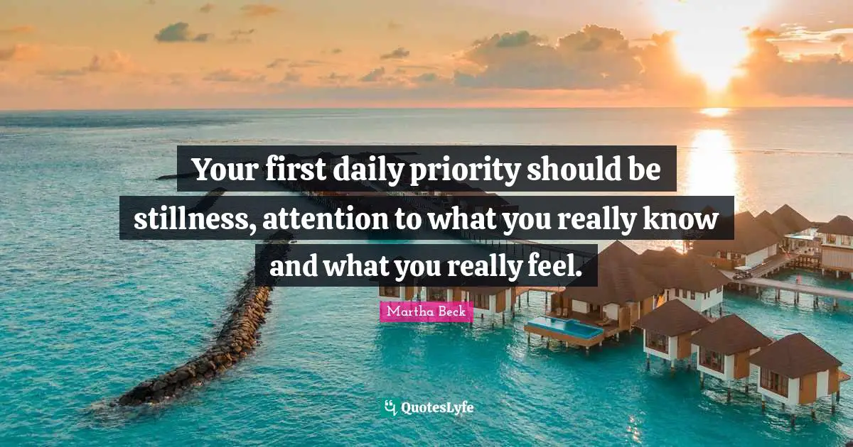 Your first daily priority should be stillness, attention to what you really know and what you really feel.
