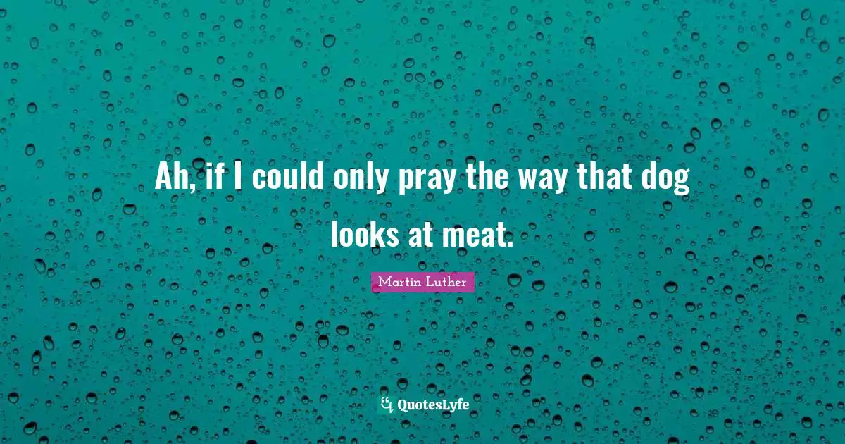 Ah, if I could only pray the way that dog looks at meat.