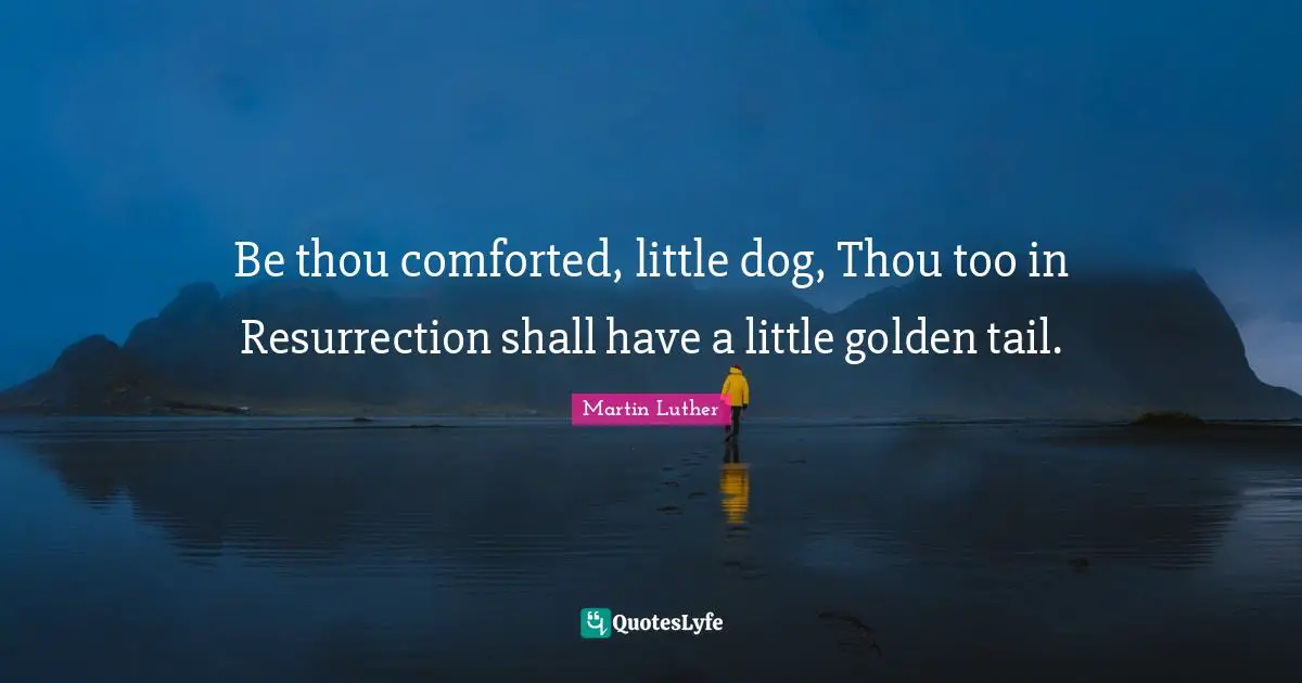 Be thou comforted, little dog, Thou too in Resurrection shall have a little golden tail.