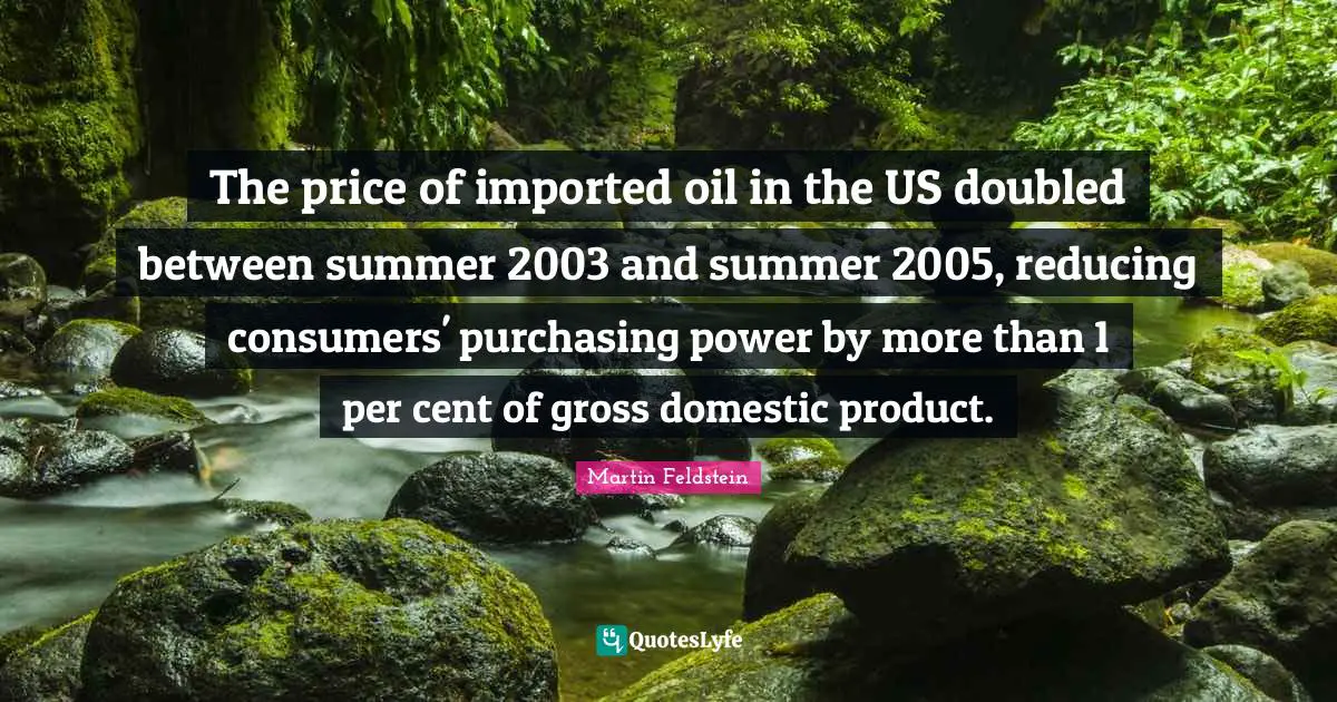 Gross Quotes: "The price of imported oil in the US doubled between summer 2003 and summer 2005, reducing consumers' purchasing power by more than 1 per cent of gross domestic product."