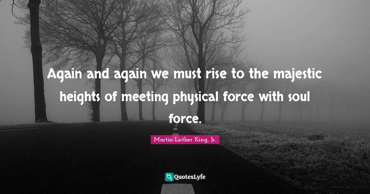 Again and again we must rise to the majestic heights of meeting physical force with soul force.