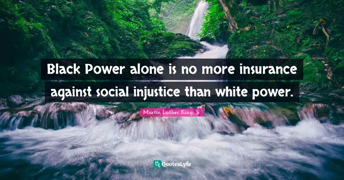 Black Power alone is no more insurance against social injustice than white power.
