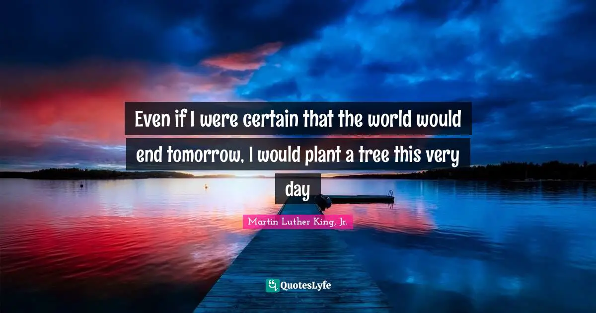 Even if I were certain that the world would end tomorrow, I would plant a tree this very day