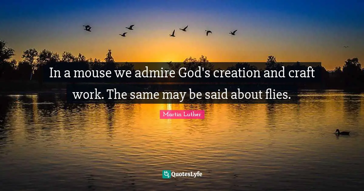 God S Creation Quotes: "In a mouse we admire God's creation and craft work. The same may be said about flies."