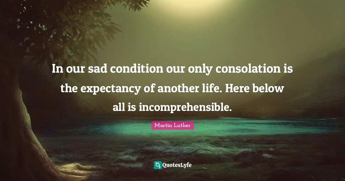 In our sad condition our only consolation is the expectancy of another life. Here below all is incomprehensible.