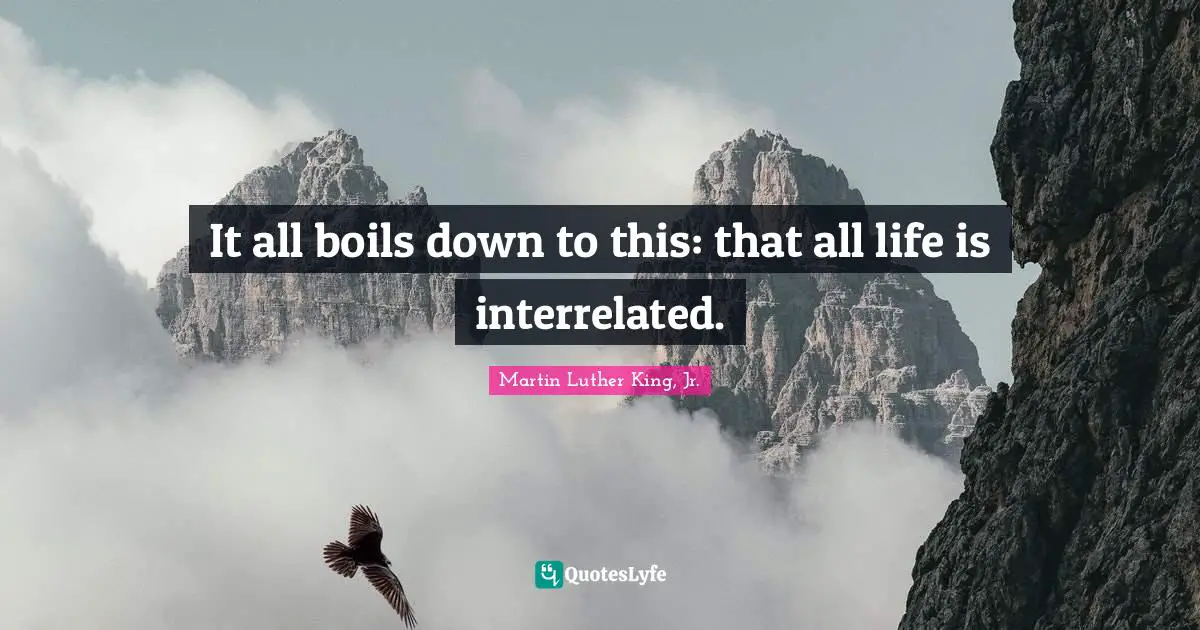 It all boils down to this: that all life is interrelated.
