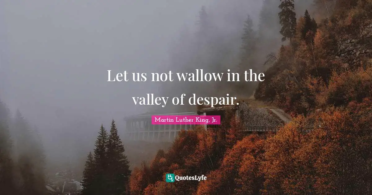 Let us not wallow in the valley of despair.