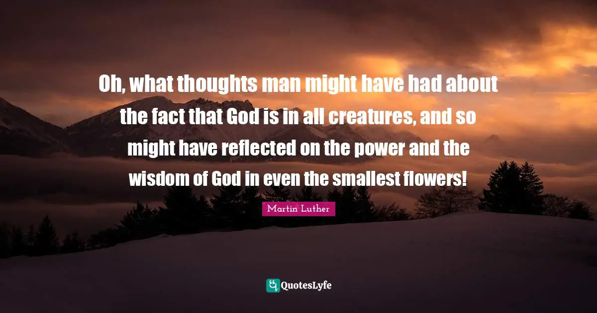 Oh, what thoughts man might have had about the fact that God is in all creatures, and so might have reflected on the power and the wisdom of God in even the smallest flowers!