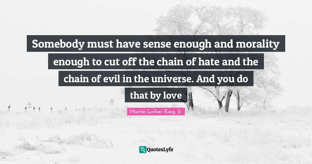 Somebody must have sense enough and morality enough to cut off the chain of hate and the chain of evil in the universe. And you do that by love