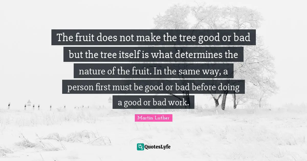 The fruit does not make the tree good or bad but the tree itself is what determines the nature of the fruit. In the same way, a person first must be good or bad before doing a good or bad work.
