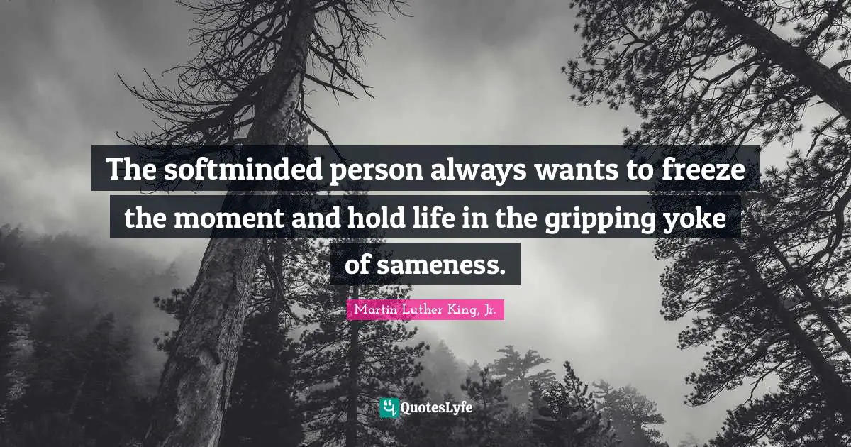 Yoke Quotes: "The softminded person always wants to freeze the moment and hold life in the gripping yoke of sameness."
