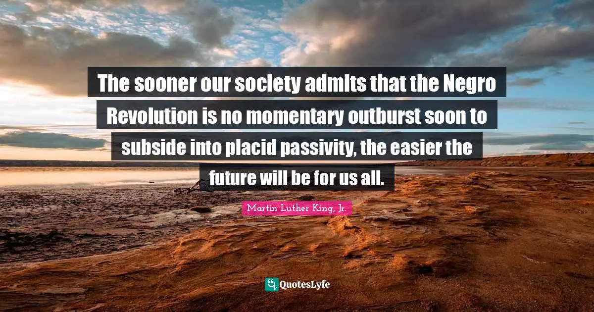 The sooner our society admits that the Negro Revolution is no momentary outburst soon to subside into placid passivity, the easier the future will be for us all.