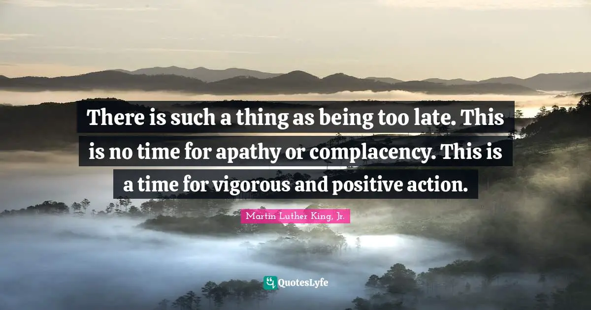 There is such a thing as being too late. This is no time for apathy or complacency. This is a time for vigorous and positive action.