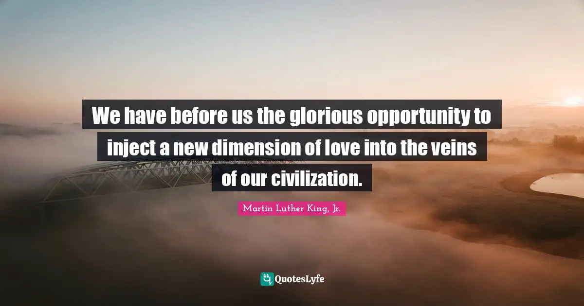 We have before us the glorious opportunity to inject a new dimension of love into the veins of our civilization.