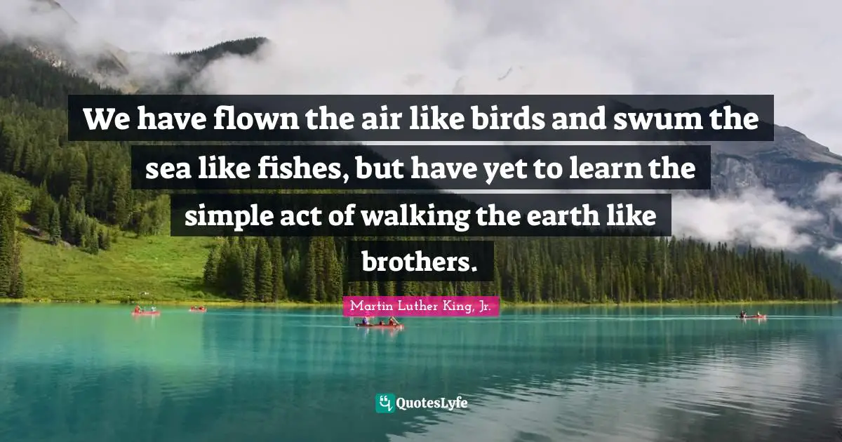 We have flown the air like birds and swum the sea like fishes, but have yet to learn the simple act of walking the earth like brothers.
