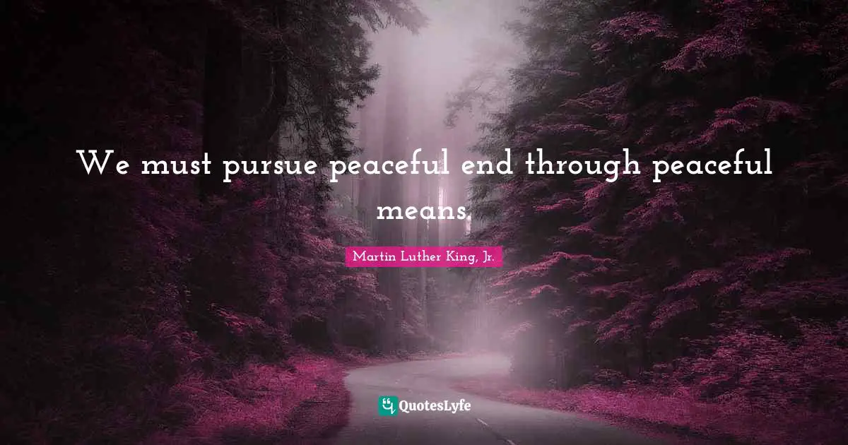 We must pursue peaceful end through peaceful means.