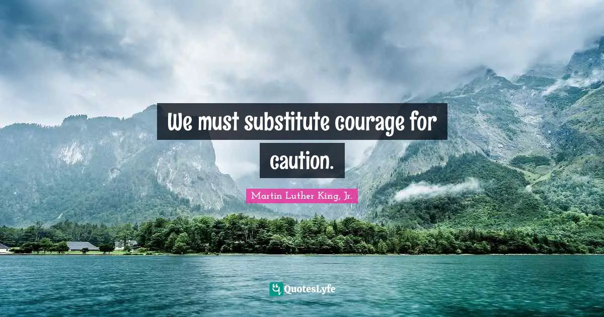 We must substitute courage for caution.