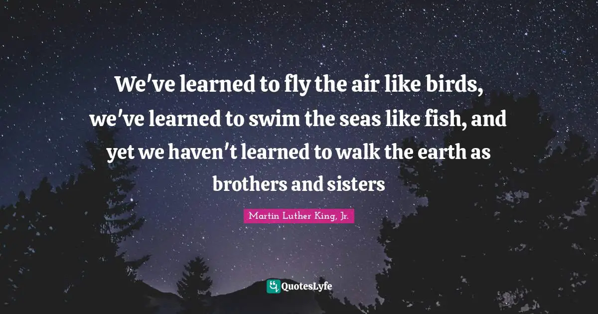 We've learned to fly the air like birds, we've learned to swim the seas like fish, and yet we haven't learned to walk the earth as brothers and sisters