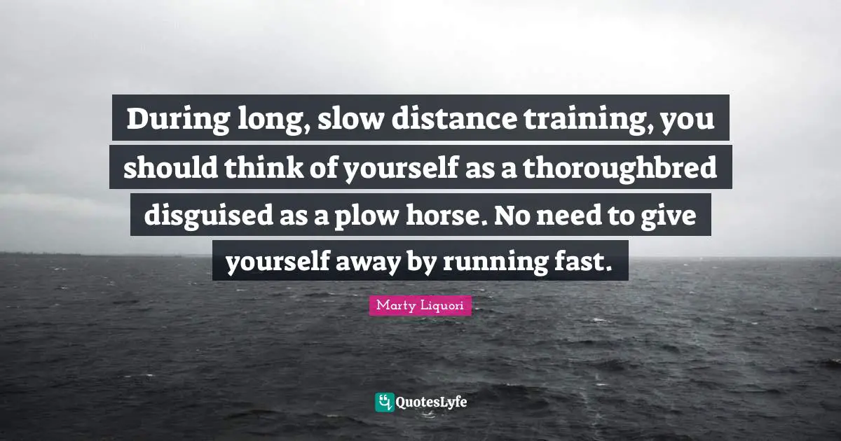 During long, slow distance training, you should think of yourself as a thoroughbred disguised as a plow horse. No need to give yourself away by running fast.