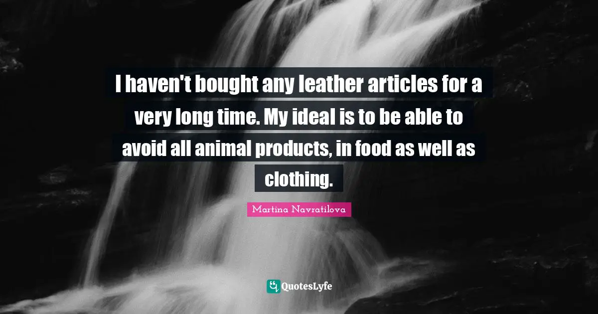 Martina Navratilova Quotes: "I haven't bought any leather articles for a very long time. My ideal is to be able to avoid all animal products, in food as well as clothing."