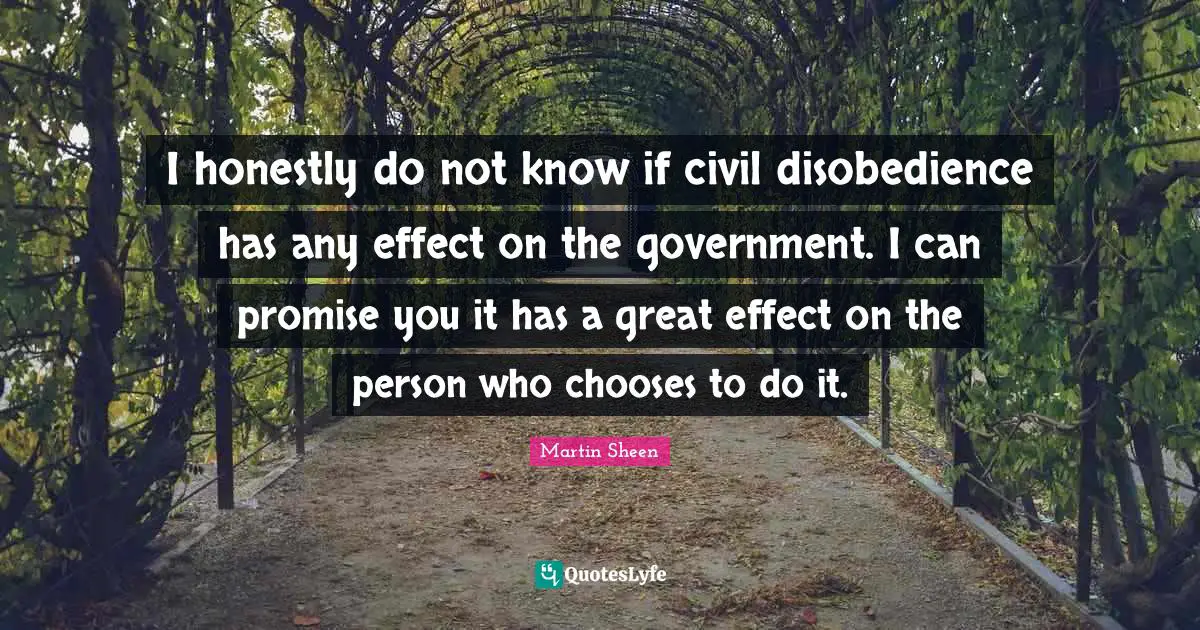 I honestly do not know if civil disobedience has any effect on the government. I can promise you it has a great effect on the person who chooses to do it.