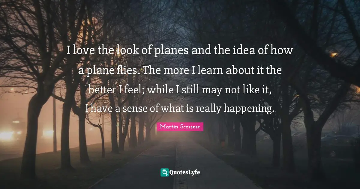 I love the look of planes and the idea of how a plane flies. The more I learn about it the better I feel; while I still may not like it, I have a sense of what is really happening.