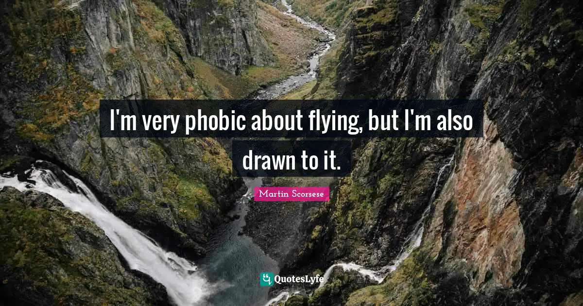 I'm very phobic about flying, but I'm also drawn to it.