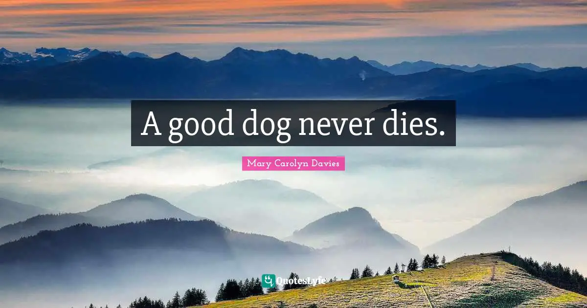 A good dog never dies.