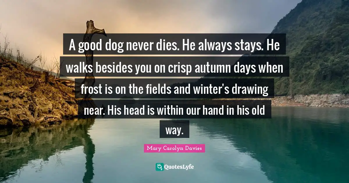 Frost Quotes: "A good dog never dies. He always stays. He walks besides you on crisp autumn days when frost is on the fields and winter's drawing near. His head is within our hand in his old way."