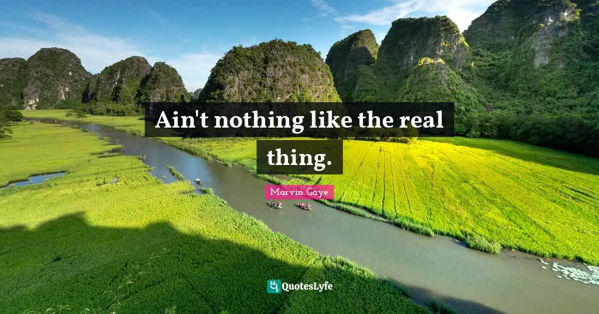 Real Things Quotes: "Ain't nothing like the real thing."
