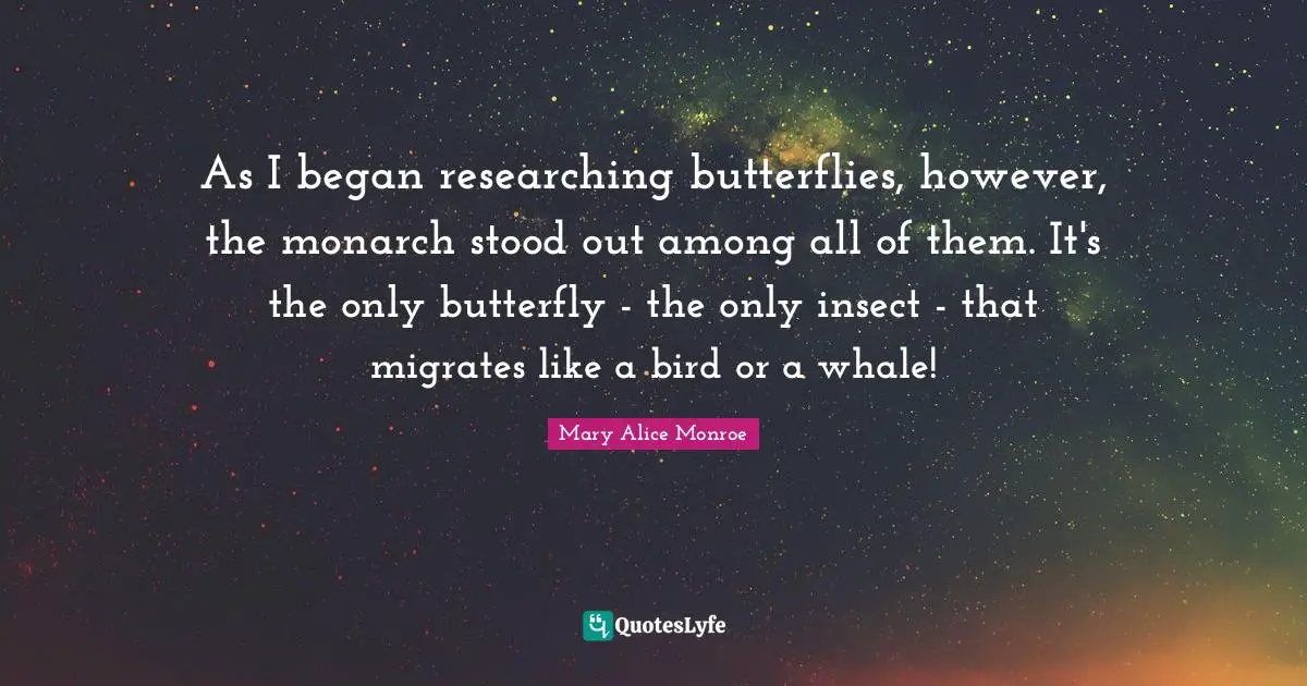 As I began researching butterflies, however, the monarch stood out among all of them. It's the only butterfly - the only insect - that migrates like a bird or a whale!