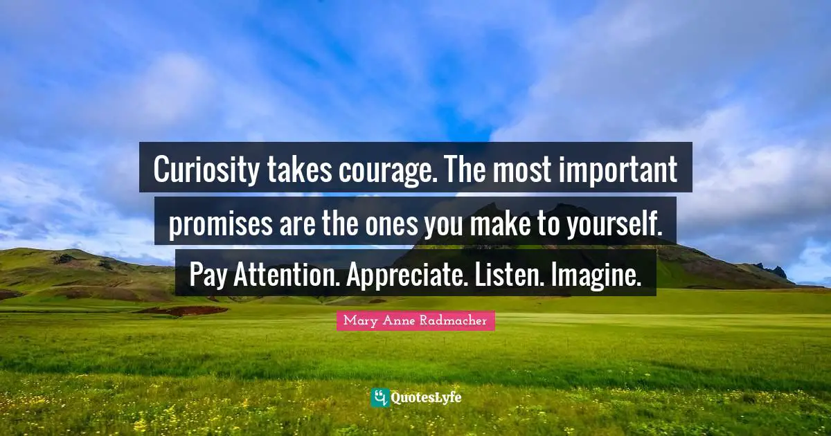 Curiosity takes courage. The most important promises are the ones you make to yourself. Pay Attention. Appreciate. Listen. Imagine.