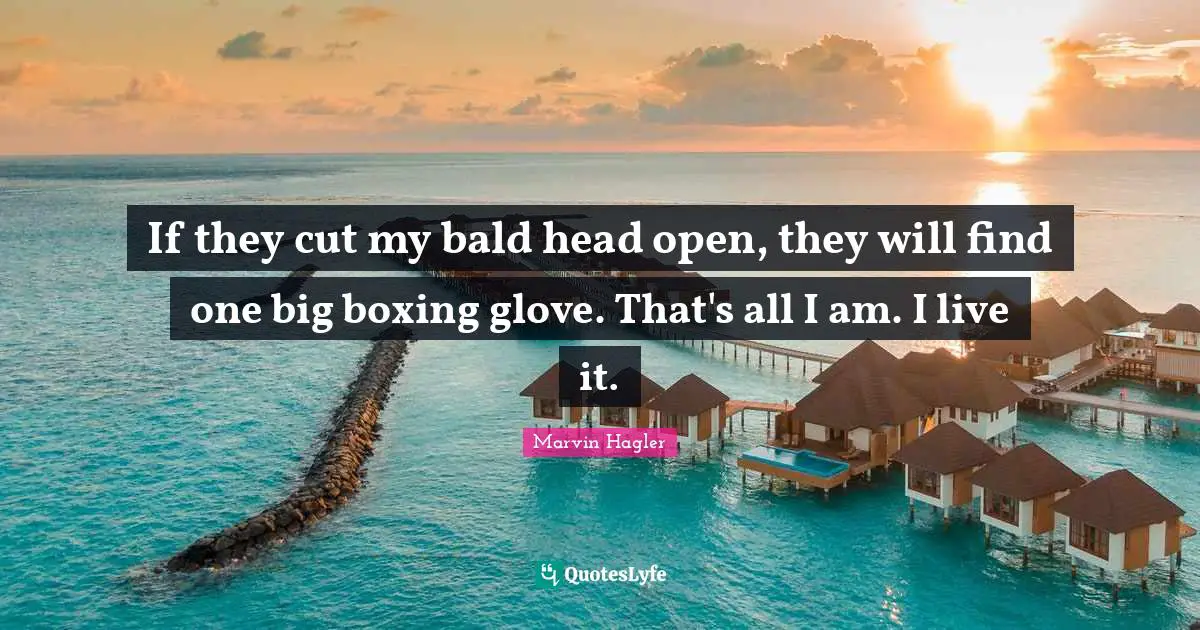 If they cut my bald head open, they will find one big boxing glove. That's all I am. I live it.