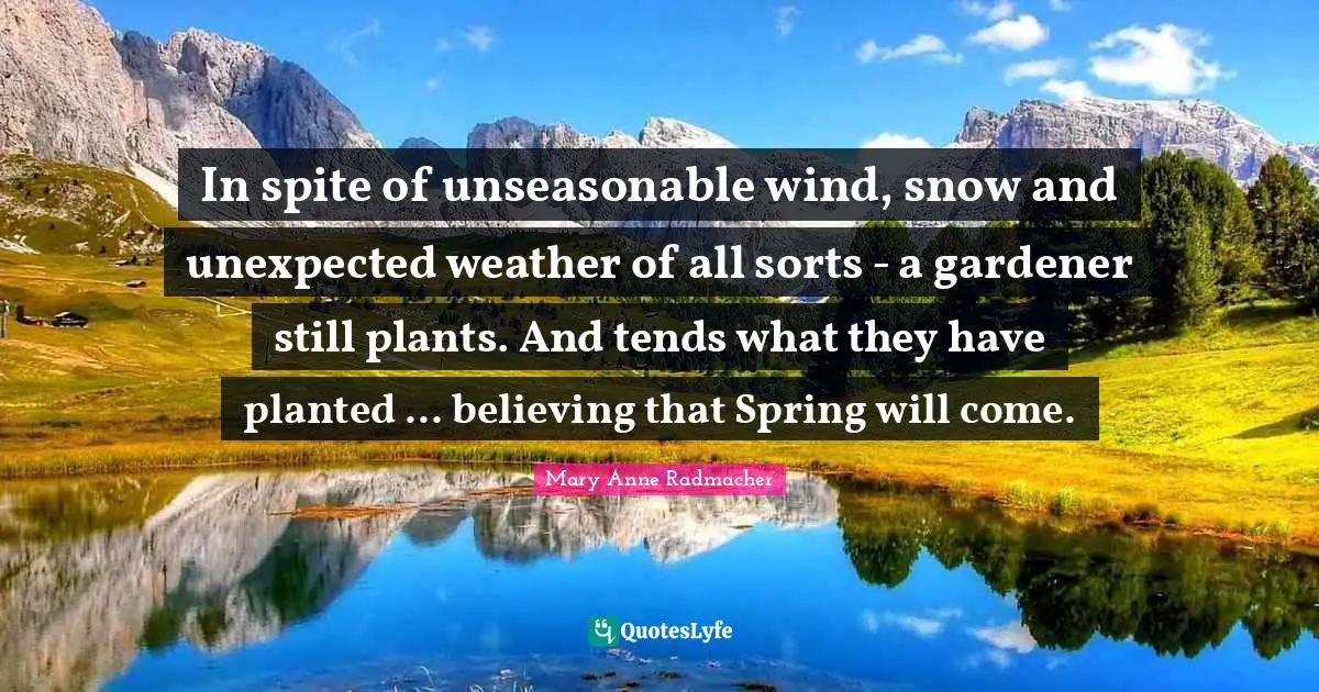 In spite of unseasonable wind, snow and unexpected weather of all sorts - a gardener still plants. And tends what they have planted ... believing that Spring will come.