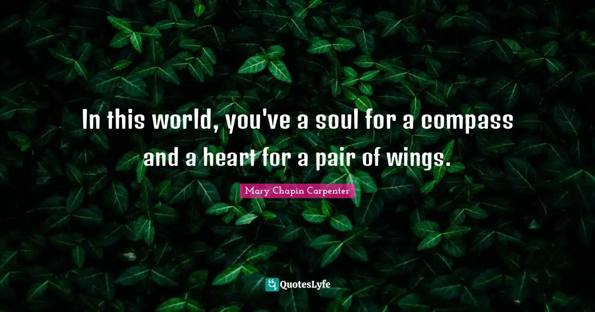 In this world, you've a soul for a compass and a heart for a pair of wings.