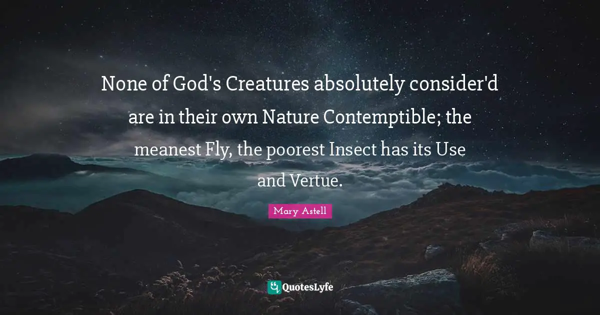 None of God's Creatures absolutely consider'd are in their own Nature Contemptible; the meanest Fly, the poorest Insect has its Use and Vertue.
